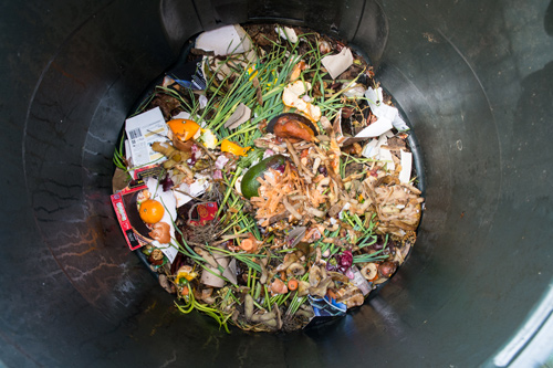 foodwastegarbagetrash.jpg