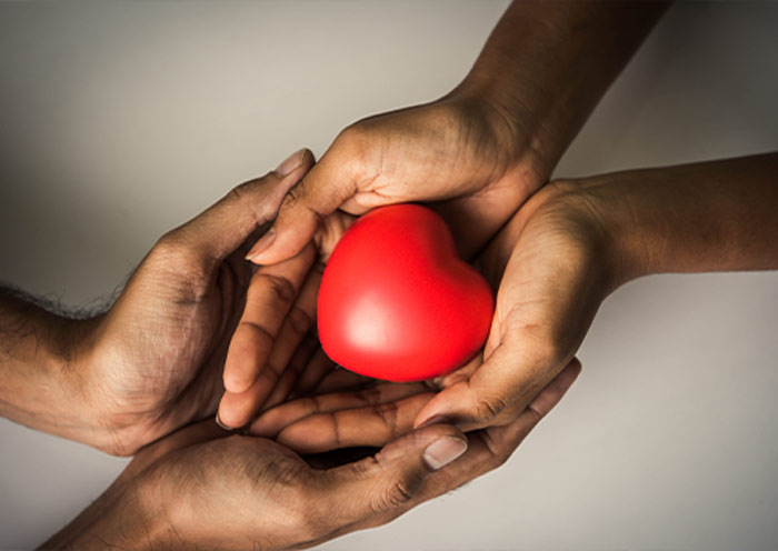 Two Hands Holding Heart