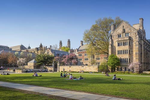 CollegeCampusGreen2.jpg